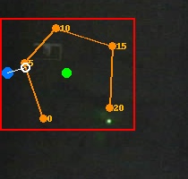 ROI debug image